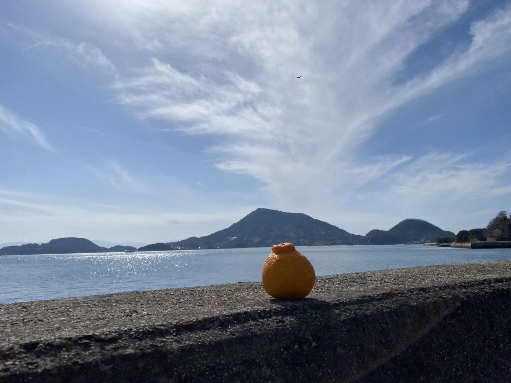 興居島の素晴らしい景色
